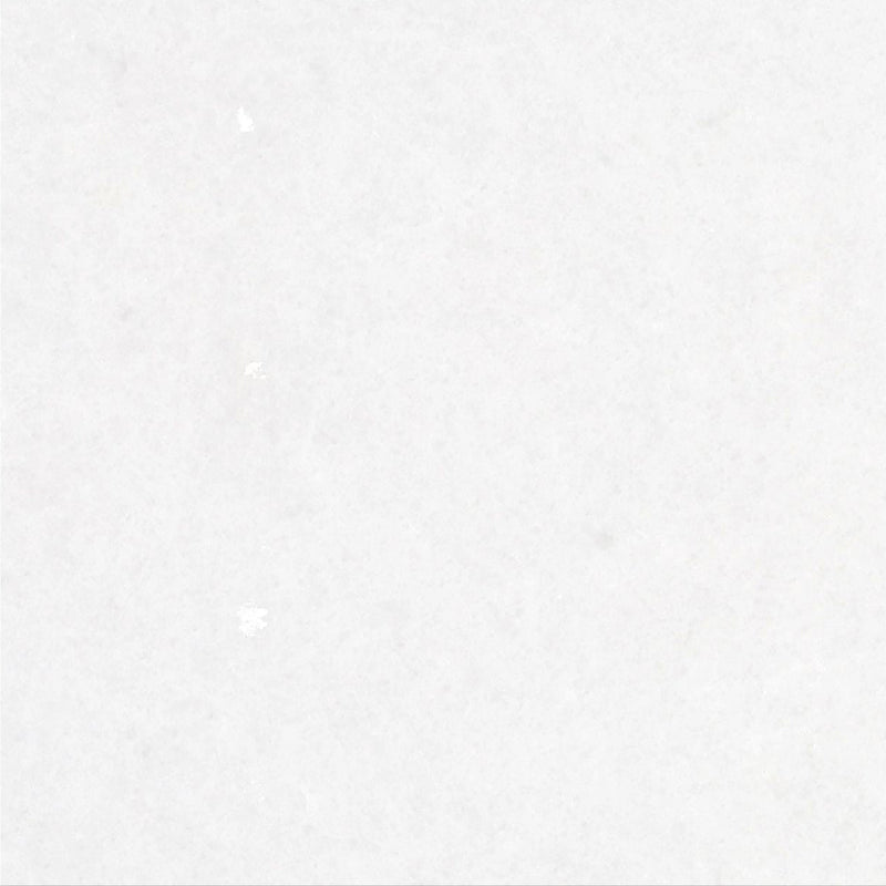 Snow White Honed 30 x 30 x 1 cm Field Tile