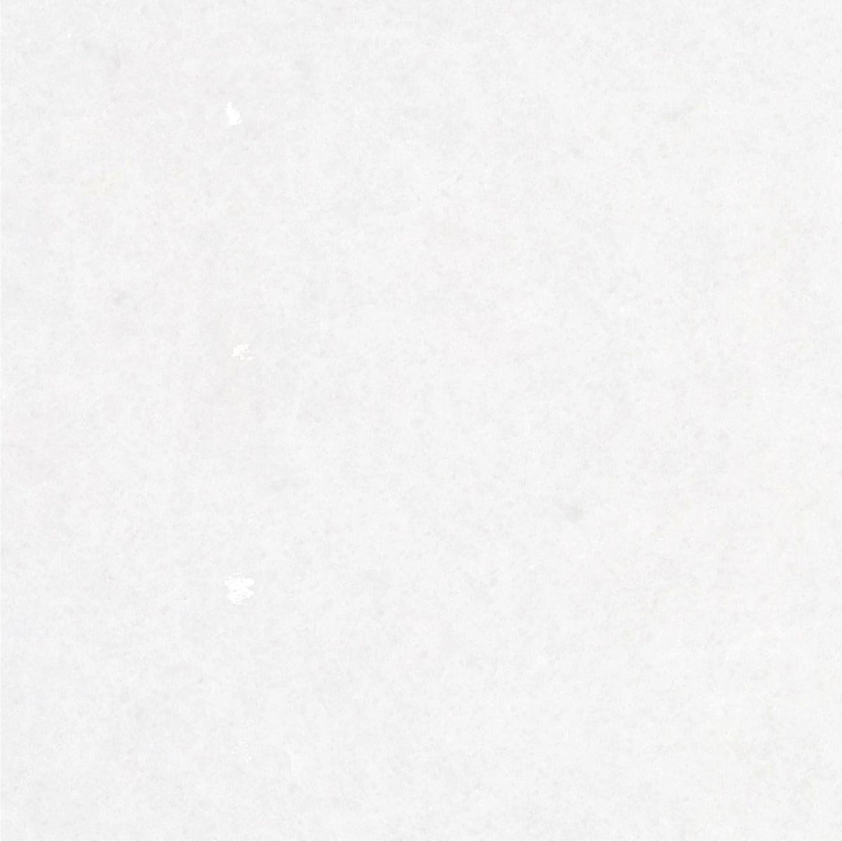 Snow White Honed 30 x 30 x 1 cm Field Tile 