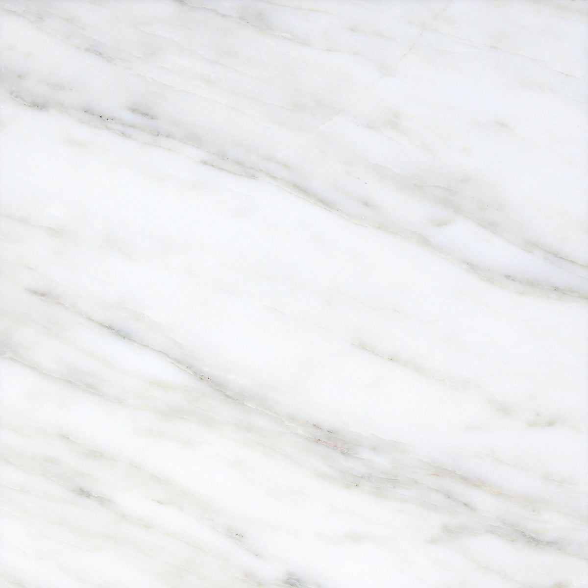 Calacatta Vida Honed 60 x 60 x 1 cm Field Tile 