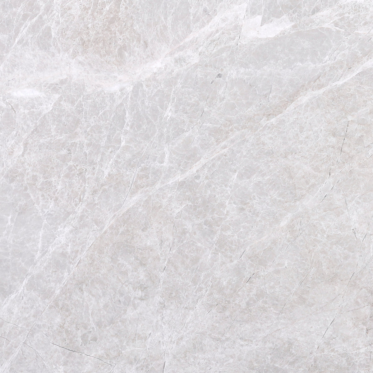 Vanillish Pearl Honed 30 x 30 x 1 cm Field Tile 