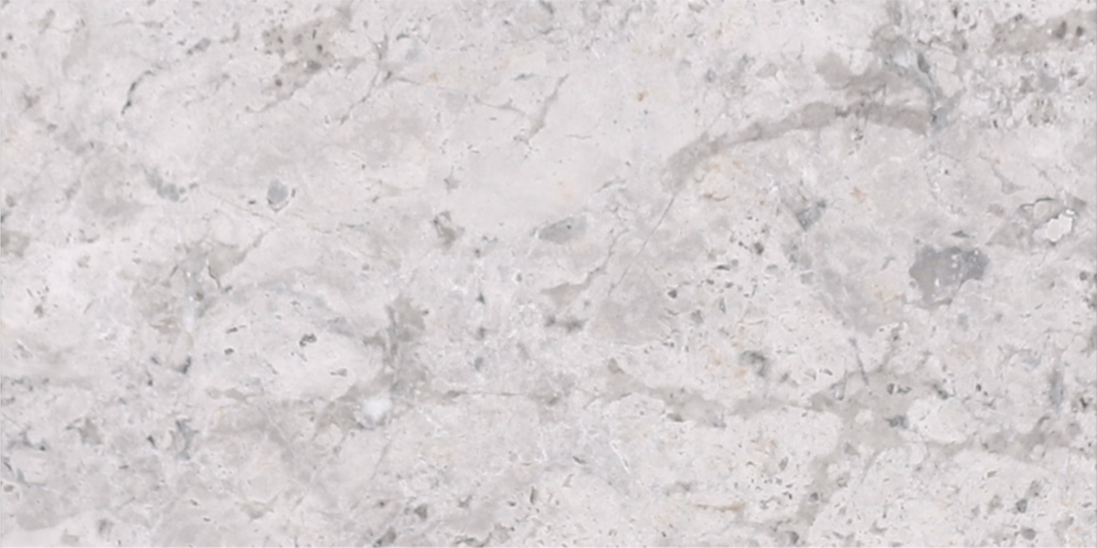 Tundra Grey Polished 7.5 x 15 x 1 cm Field Tile 