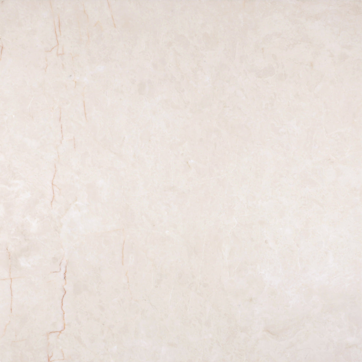 Crema Ella Honed 40 x 40 x 1.25 cm Field Tile 