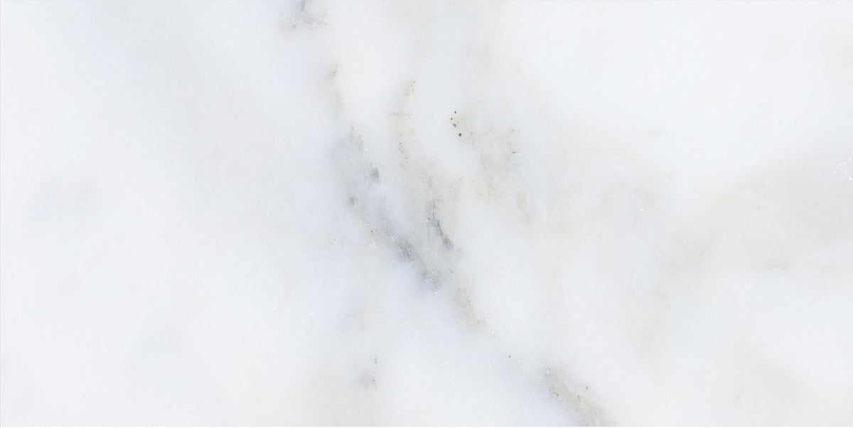 Calacatta Vida Honed 15 x 30 x 1 cm Field Tile 