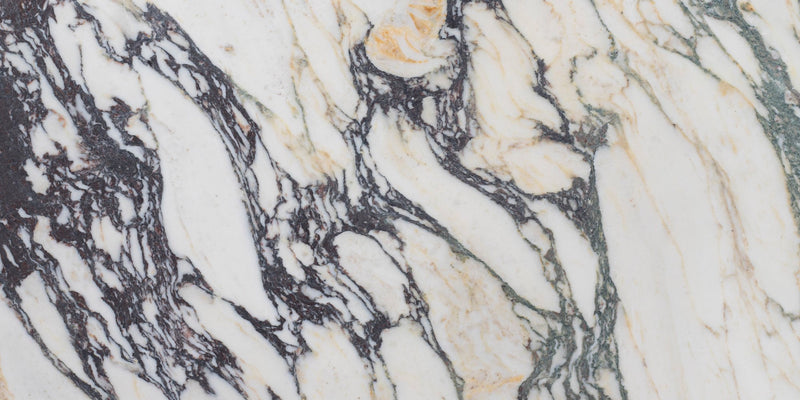 Calacatta Monet Honed 30 x 60 x 1 cm Field Tile