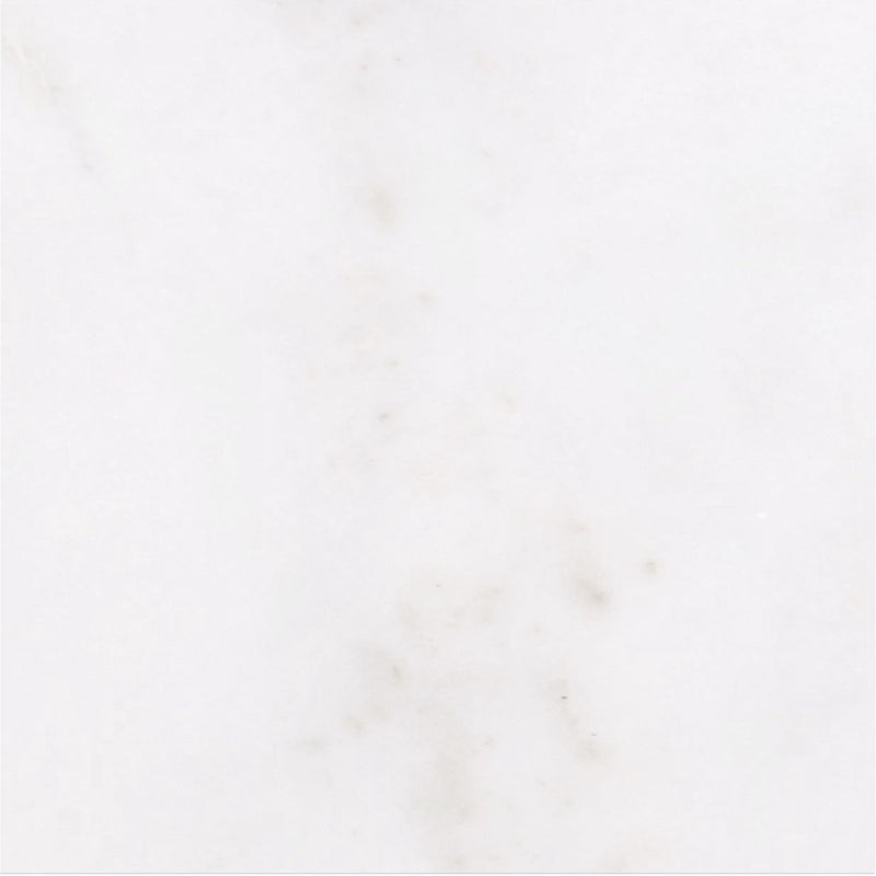 Afyon White Polished 30 x 30 x 1 cm Field Tile