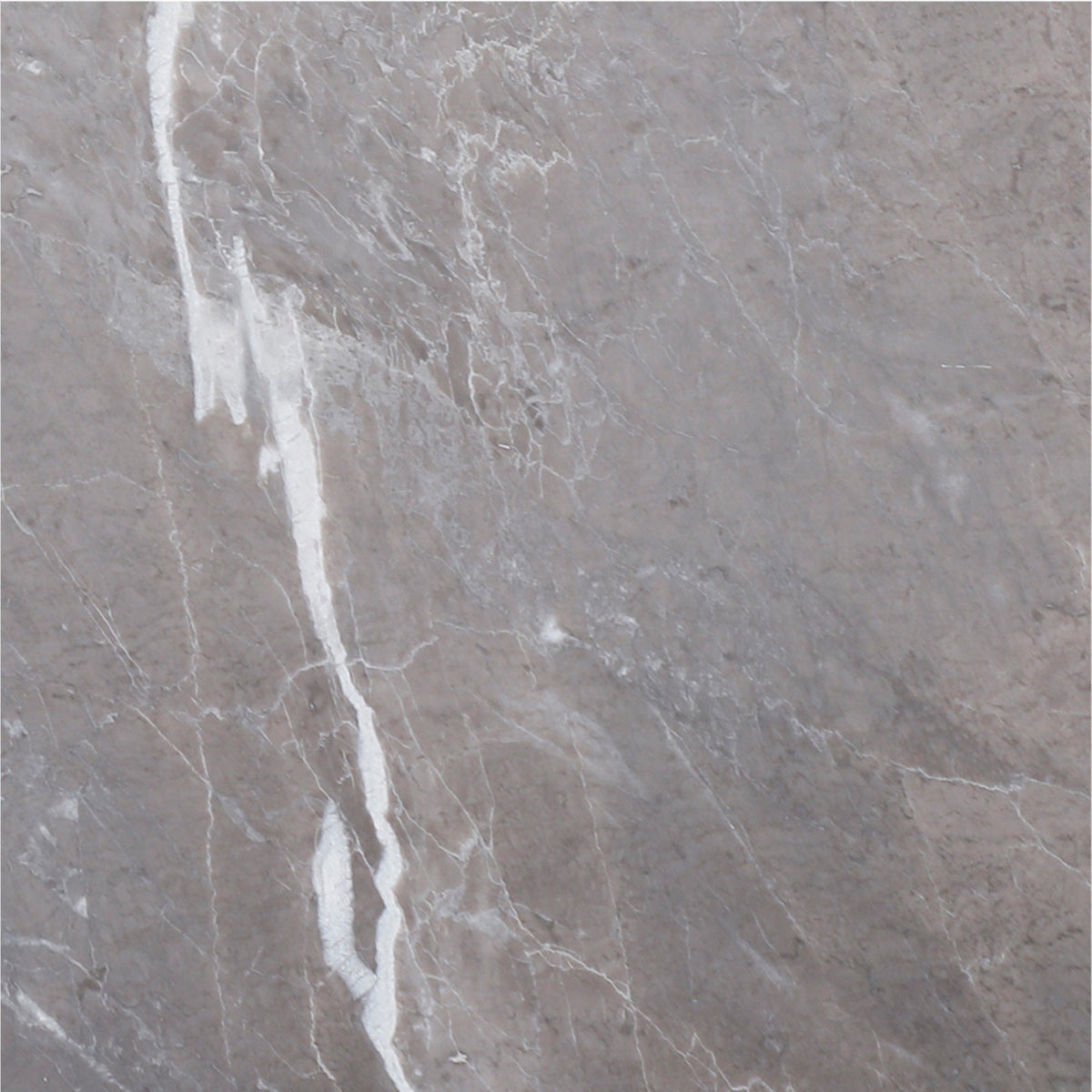 Earth Grey Honed 30 x 30 x 1 cm Field Tile 