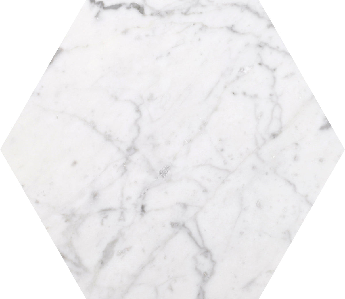 Bianco Carrara Honed Hexagon 25 x 1 cm Field Tile 