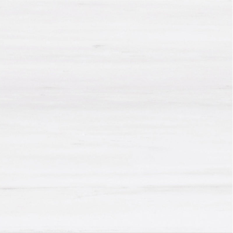 Glacier White Alanur Honed 30 x 30 x 1 cm Field Tile