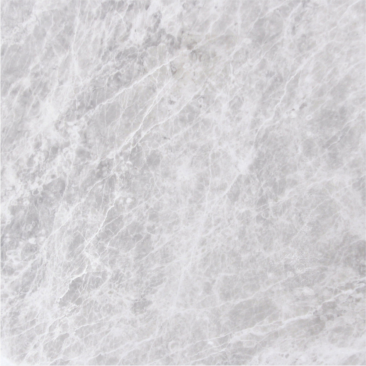 Nordic Grey Honed 45 x 45 x 1.25 cm Field Tile 