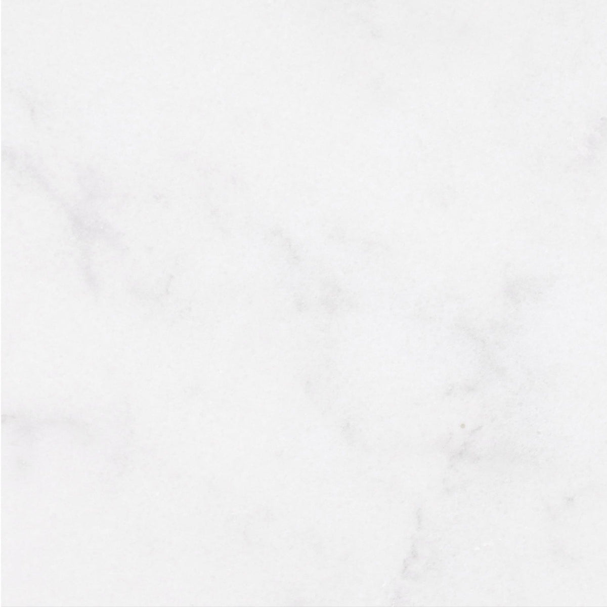 Alba Vera Honed 45 x 45 x 1 cm Field Tile 