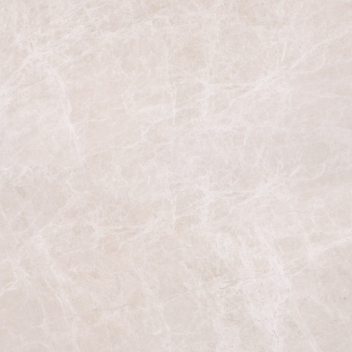 Vanillish Pearl Honed 60 x 60 x 1.5 cm Field Tile 