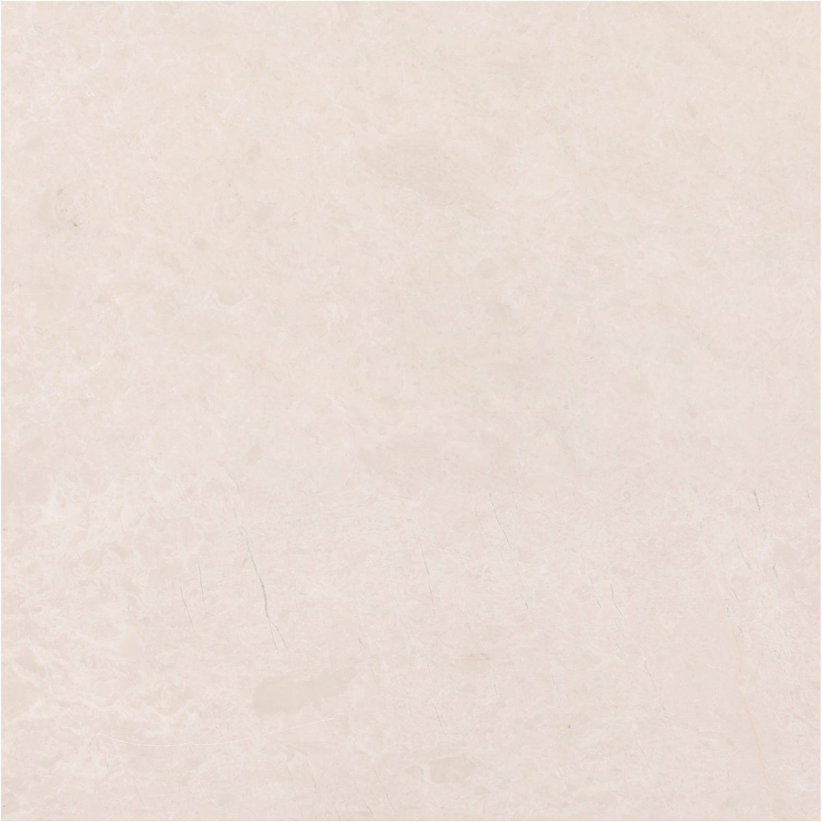 Crema Ella Honed 45 x 45 x 1.5 cm Field Tile 
