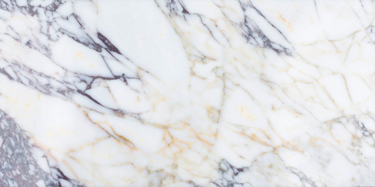 Calacatta Viola Honed 30 x 60 x 1 cm Field Tile 