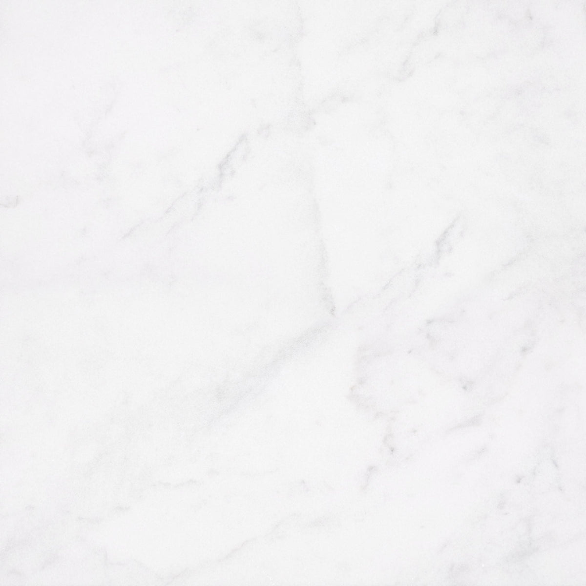 Alba Vera Honed 60 x 60 x 1 cm Field Tile 