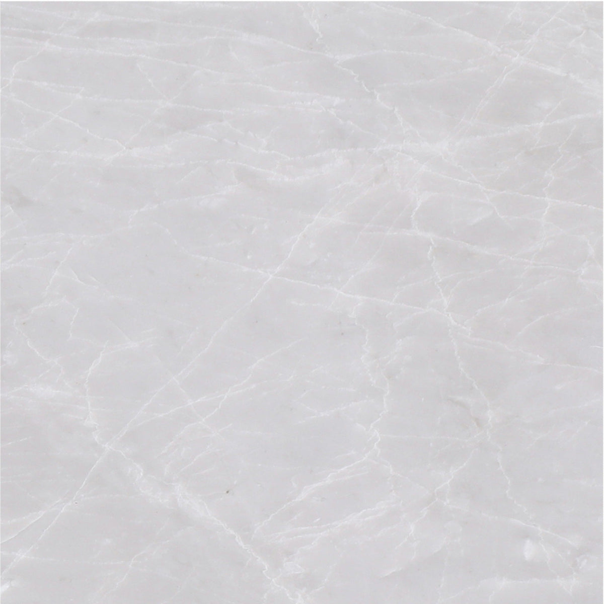 Ice Grey Polished 30 x 30 x 1 cm Field Tile 