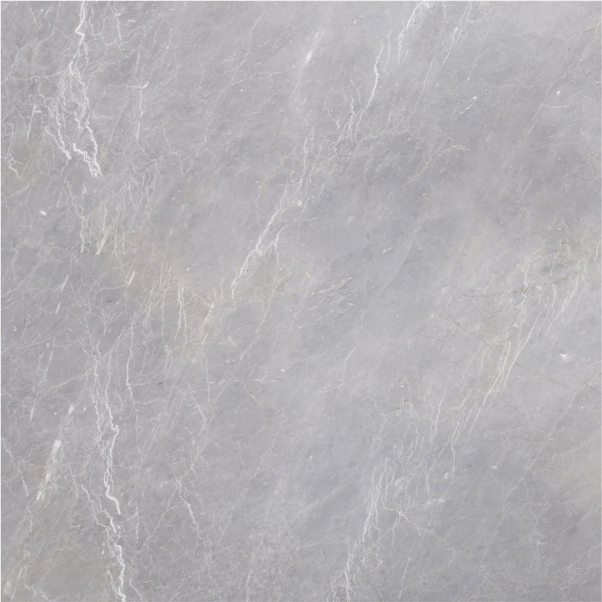 Earth Grey Honed 45 x 45 x 1.25 cm Field Tile 