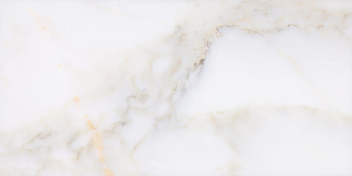 Calacatta Vida Polished 30 x 60 x 1 cm Field Tile 