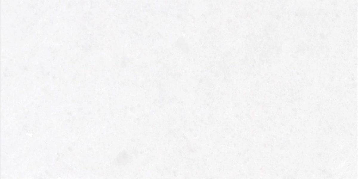 Snow White Polished 7.5 x 15 x 1 cm Field Tile 