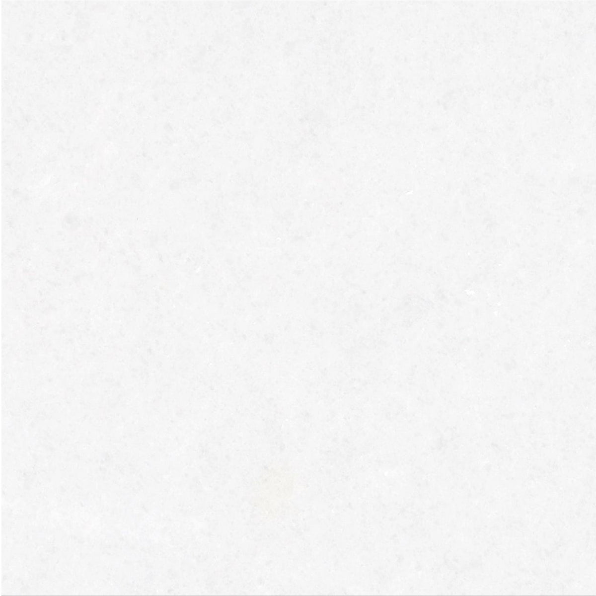 Snow White Honed 30 x 30 x 1 cm Field Tile 