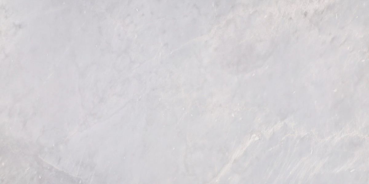 Ice Grey Polished 30 x 60 x 1.25 cm Field Tile 