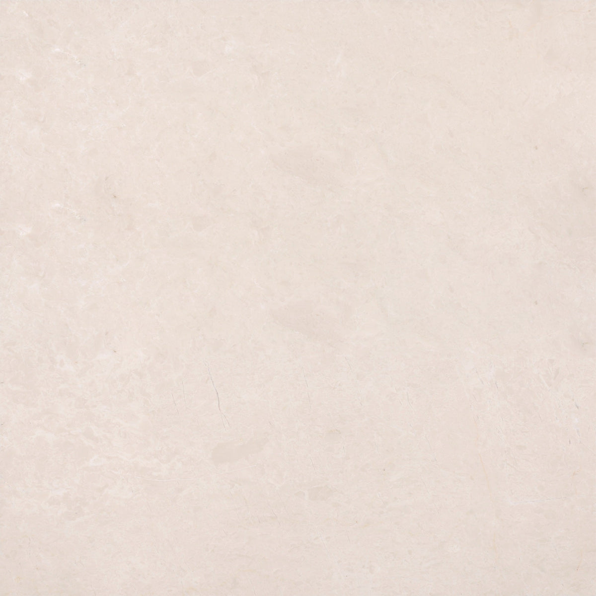 Crema Ella Polished 60 x 60 x 1.5 cm Field Tile 