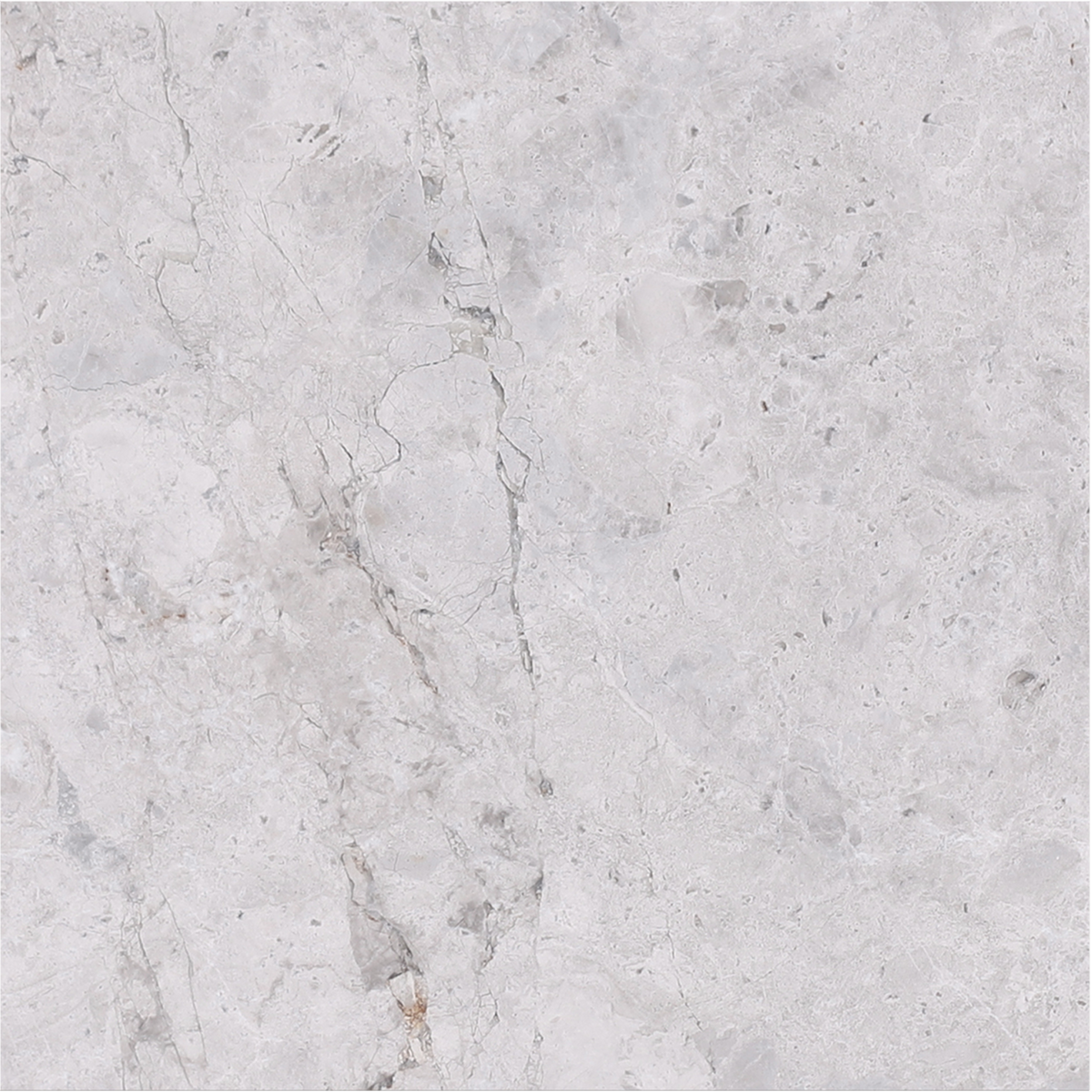 Tundra Grey Honed 30 x 30 x 1 cm Field Tile 