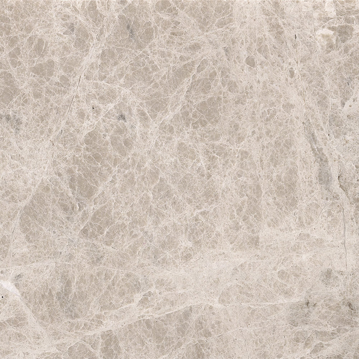 Emperador Light Polished 30 x 30 x 1 cm Field Tile 