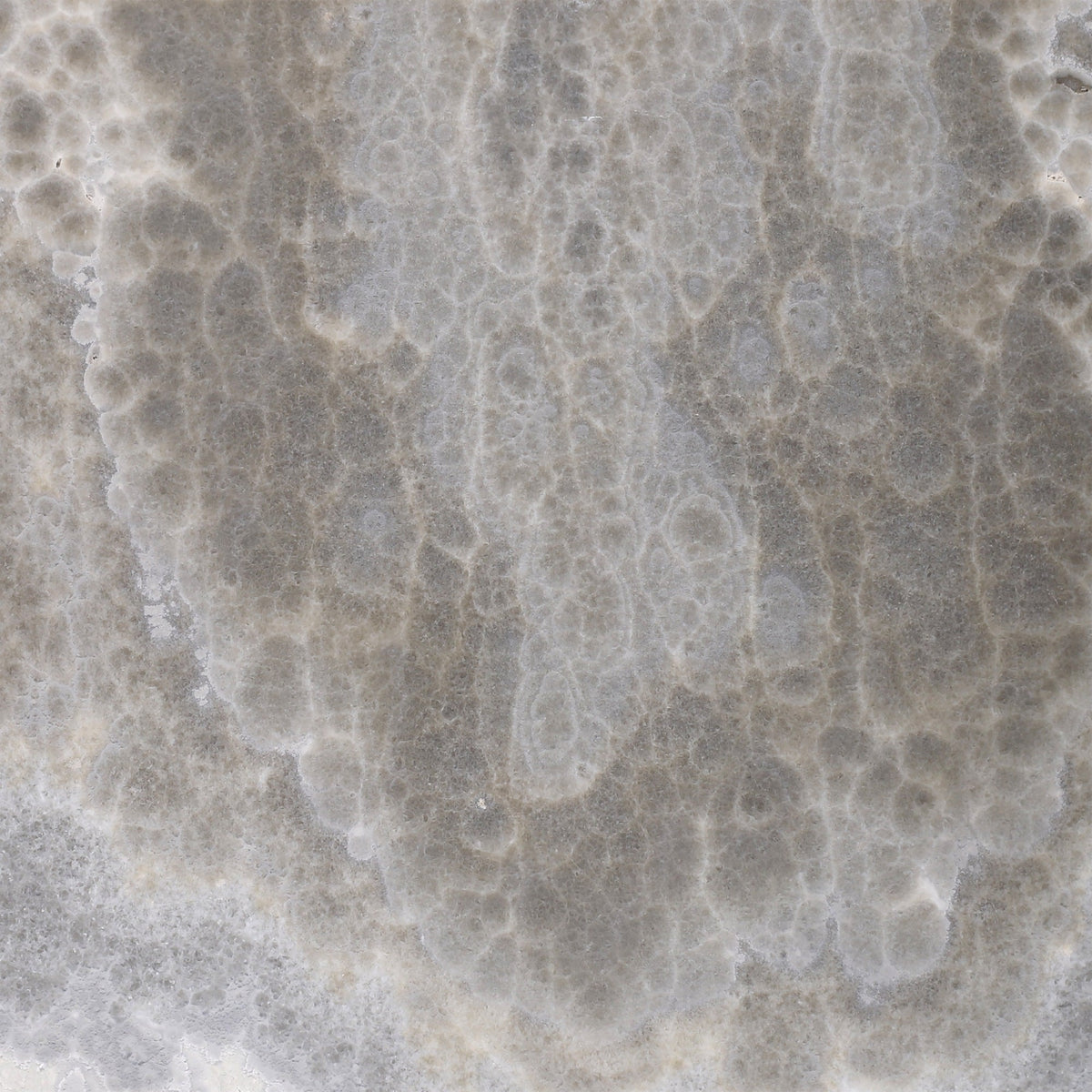 Dover Grey Onyx Honed 30 x 30 x 1 cm Field Tile 