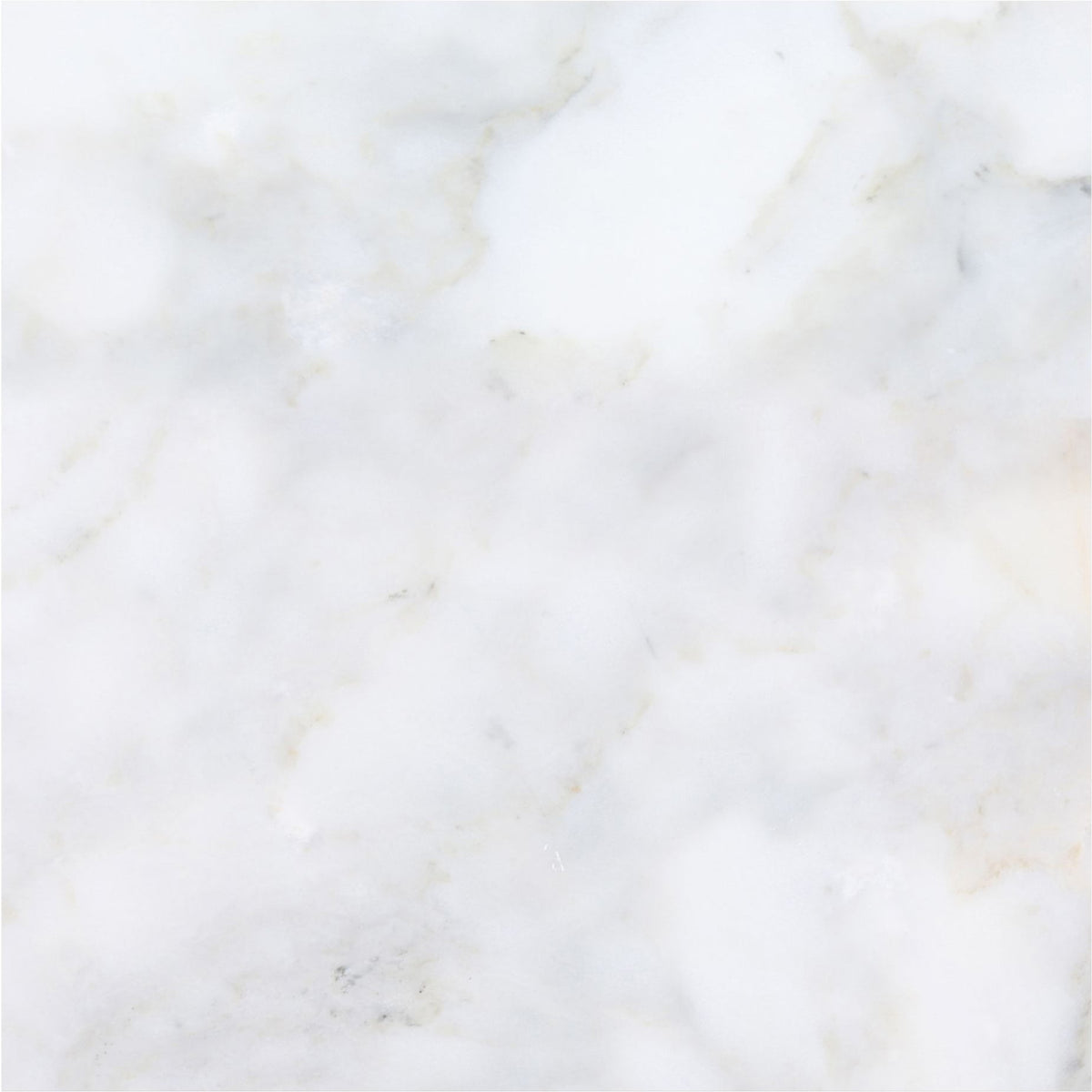 Calacatta Vida Honed 45 x 45 x 1.25 cm Field Tile 