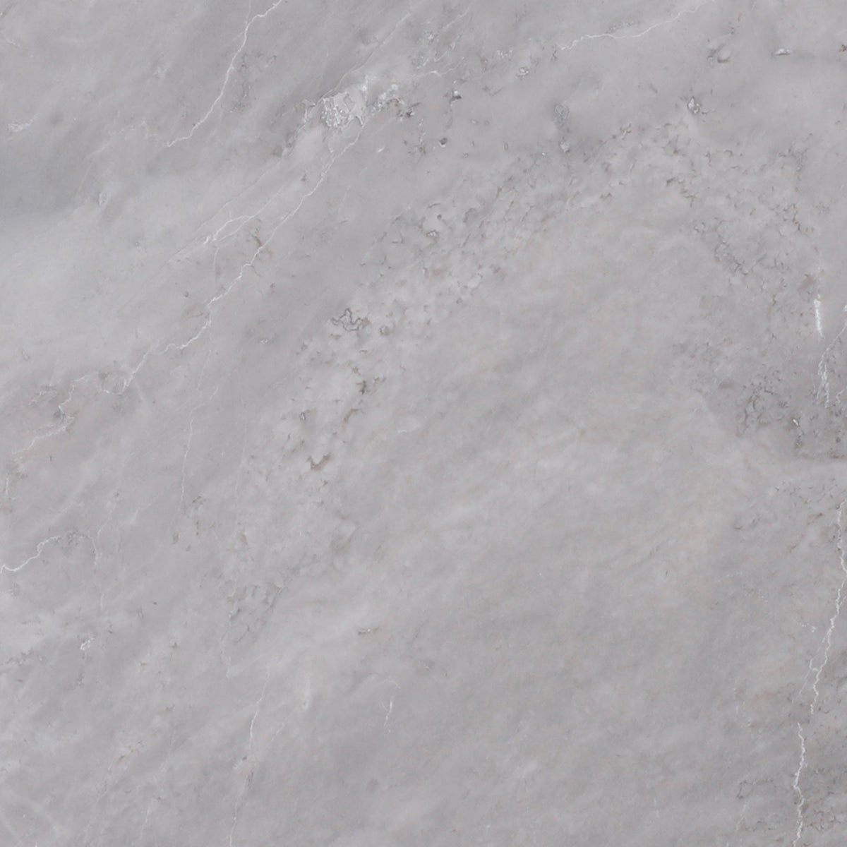 Earth Grey Polished 30 x 30 x 1 cm Field Tile 
