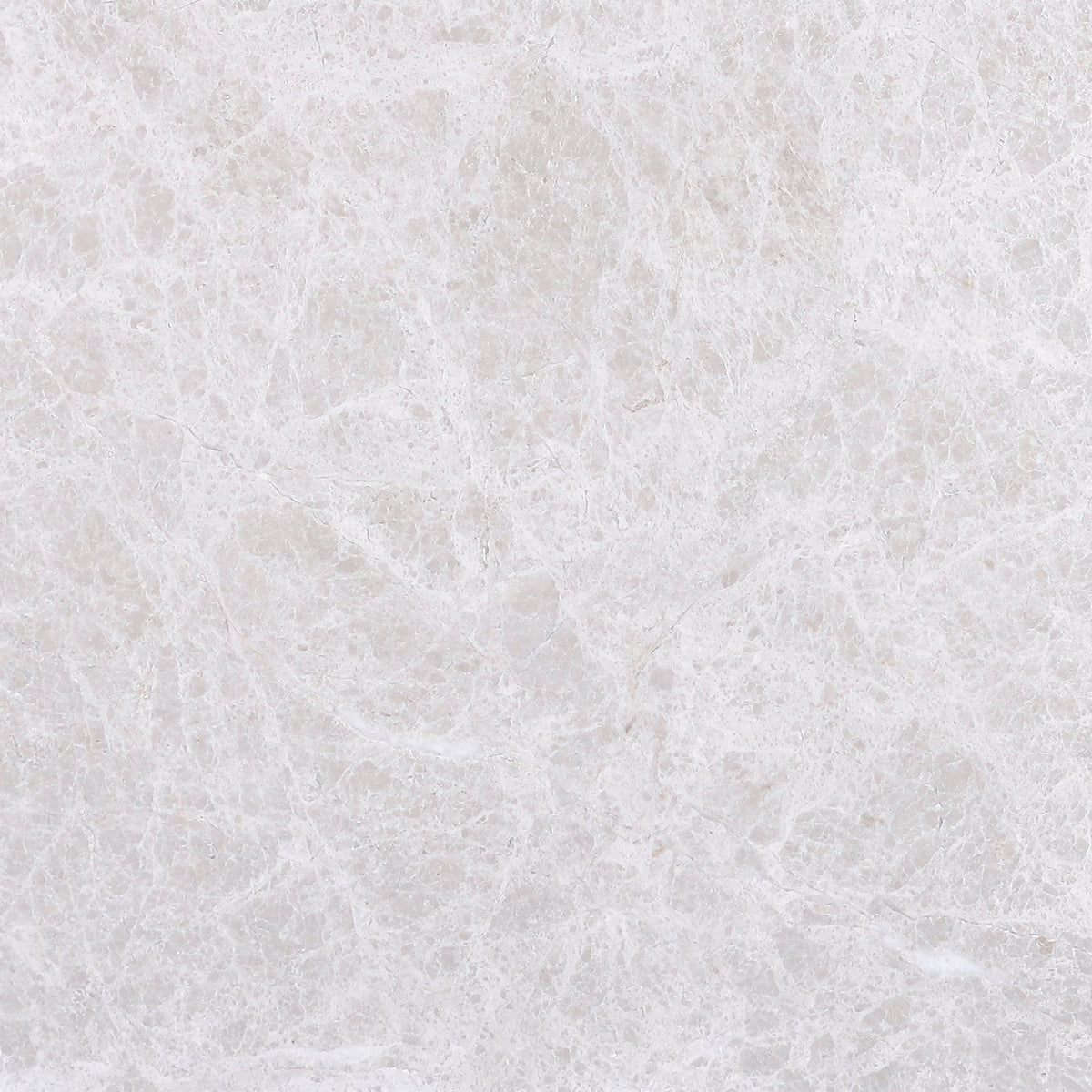 Vanillish Pearl Honed 30 x 30 x 1 cm Field Tile 