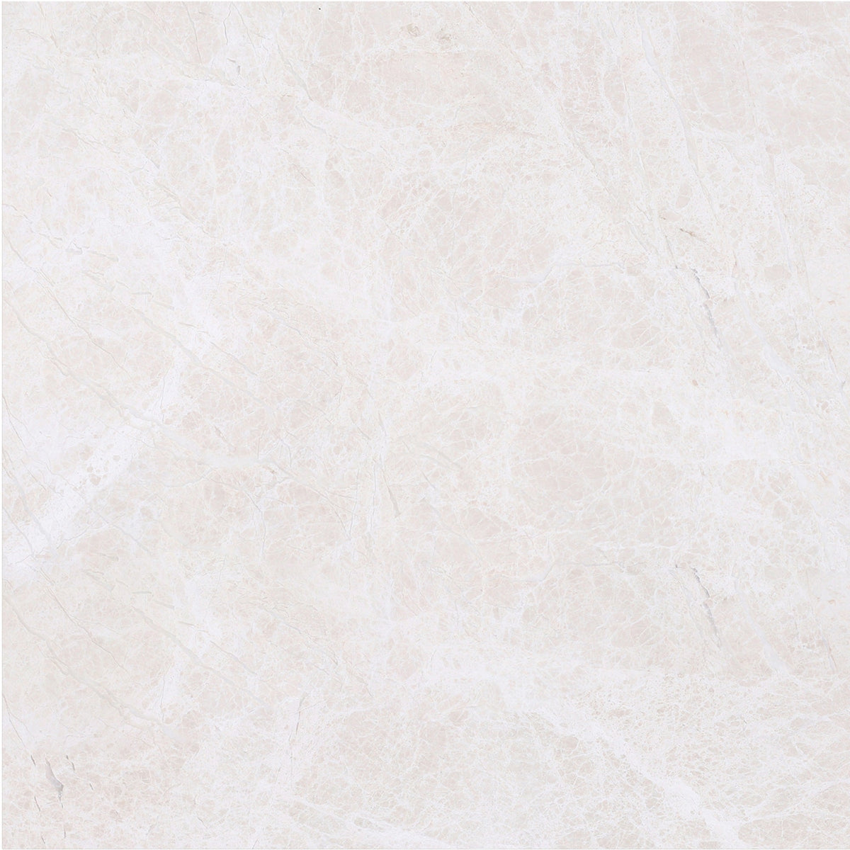 Vanillish Pearl Polished 40 x 40 x 1.5 cm Field Tile 
