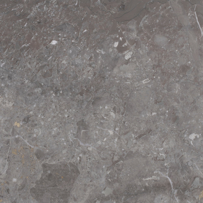 Caribbean Grey Honed 30 x 30 x 1 cm Field Tile