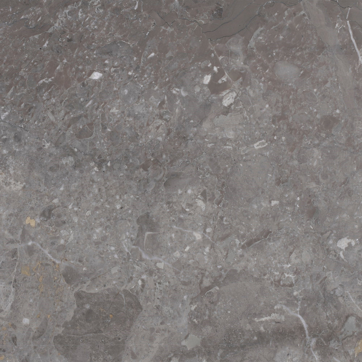 Caribbean Grey Honed 30 x 30 x 1 cm Field Tile 