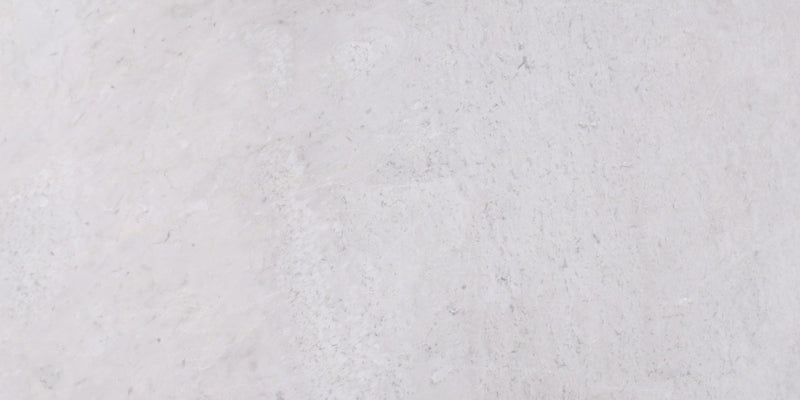 Ice Grey Polished 30 x 60 x 1.25 cm Field Tile