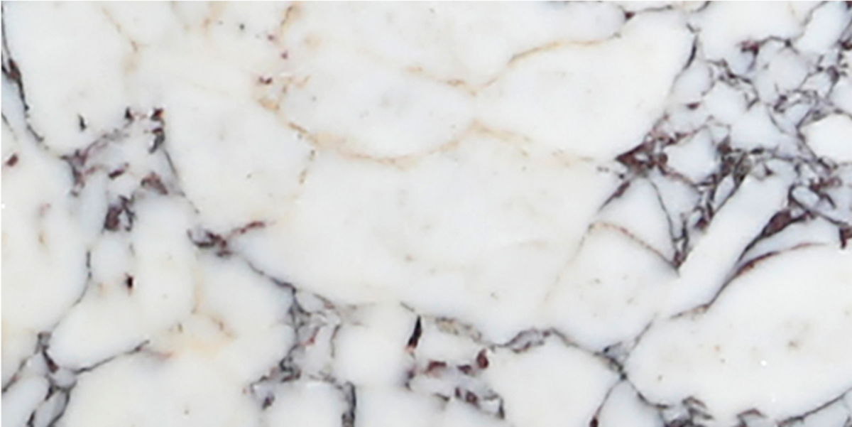 Calacatta Viola Honed 15 x 30 x 1 cm Field Tile 
