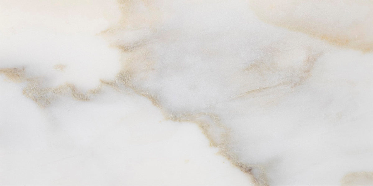 Calacatta Cremo Honed 15 x 30 x 1 cm Field Tile 