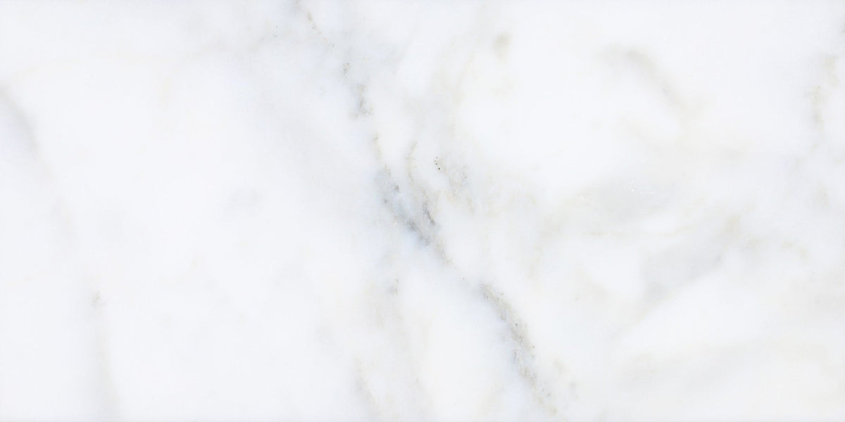 Calacatta Vida Honed 30 x 60 x 1 cm Field Tile 