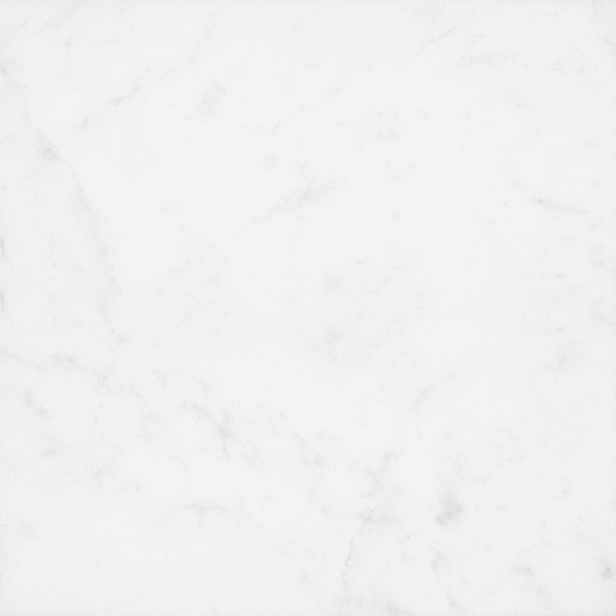 Alba Vera Honed 60 x 60 x 1 cm Field Tile 