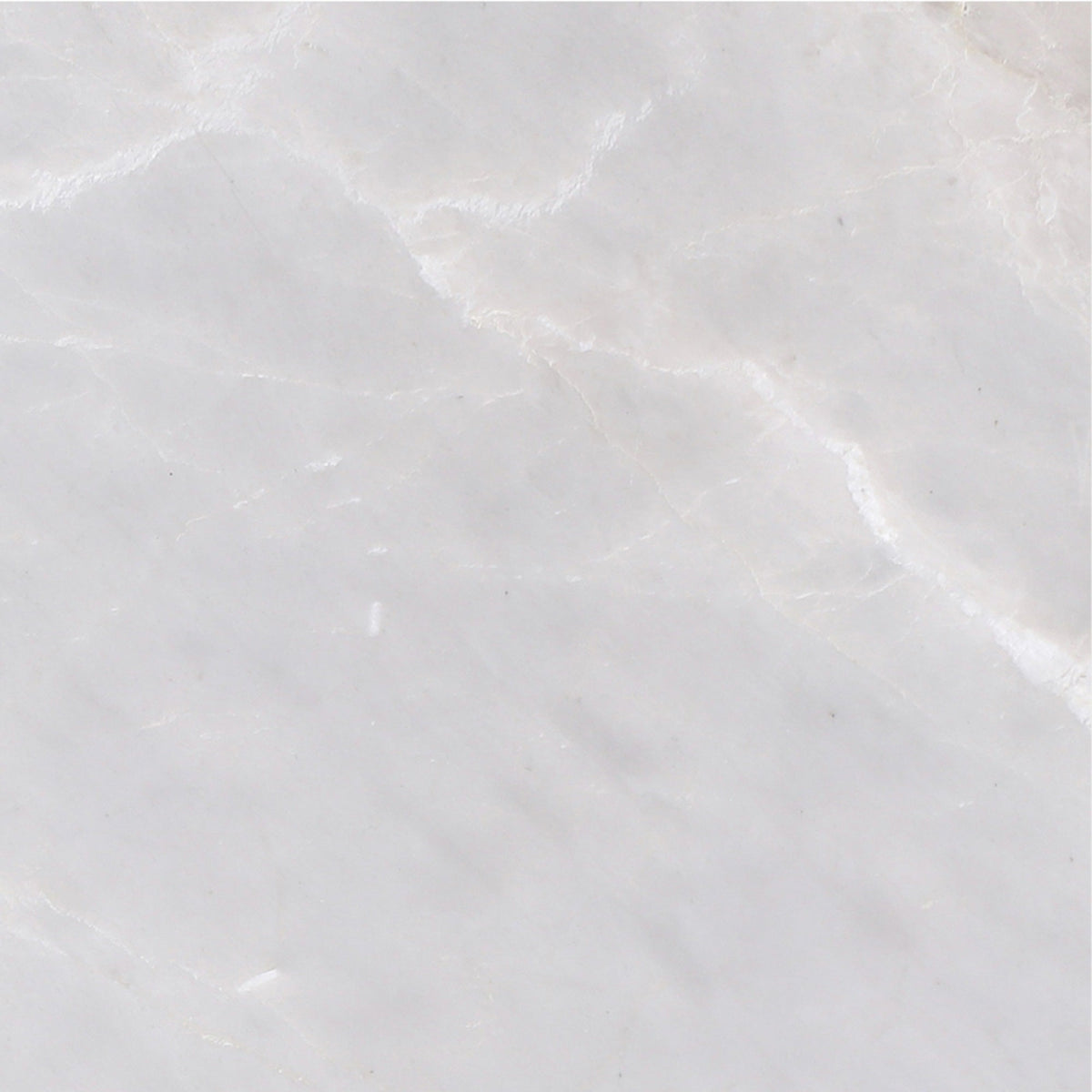 Ice Grey Polished 30 x 30 x 1 cm Field Tile 