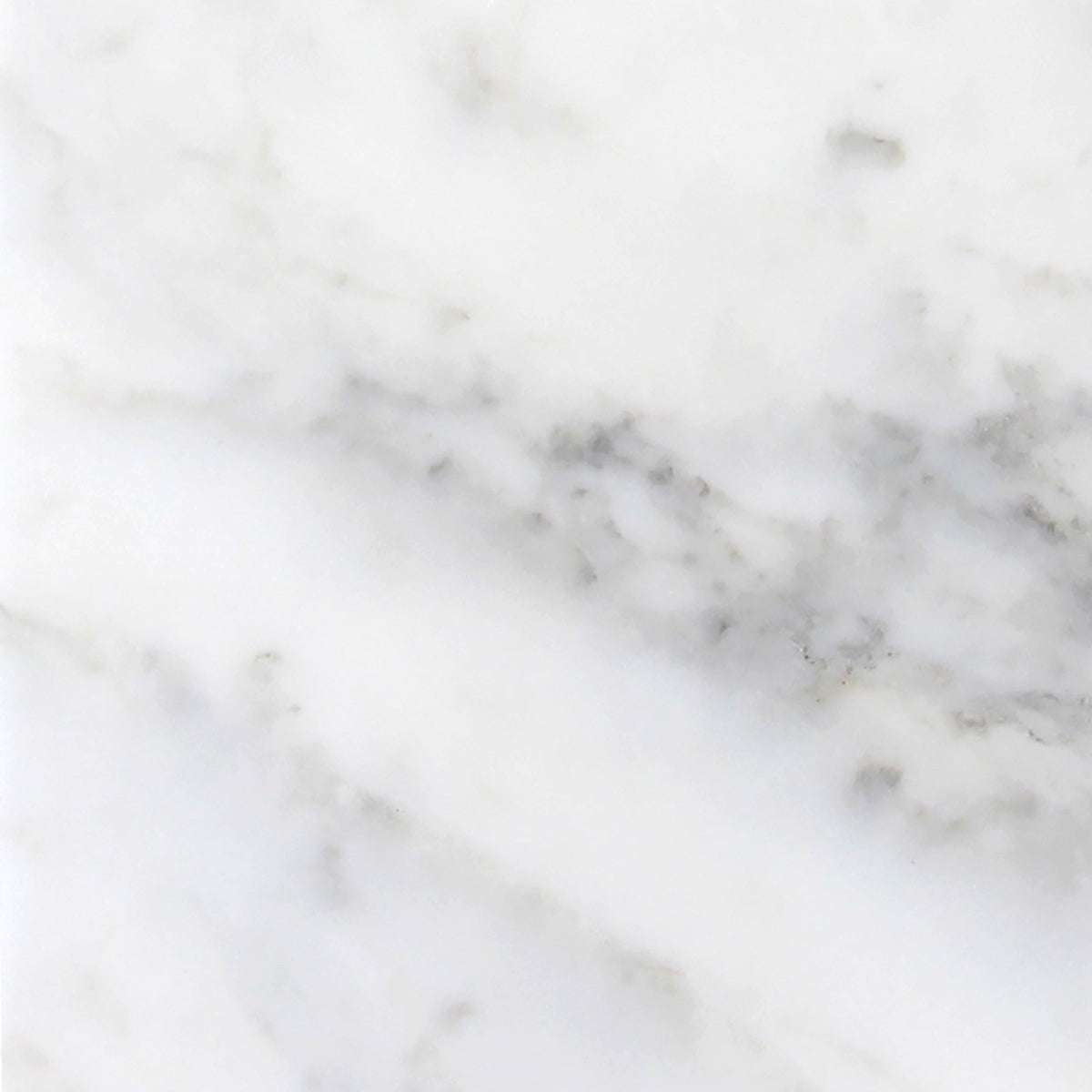 Calacatta Vida Honed 60 x 60 x 1.25 cm Field Tile 