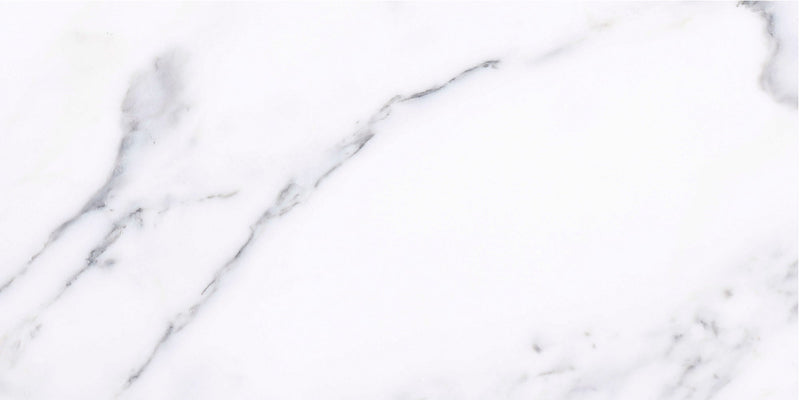 Statuario Honed 15 x 30 x 1 cm Field Tile