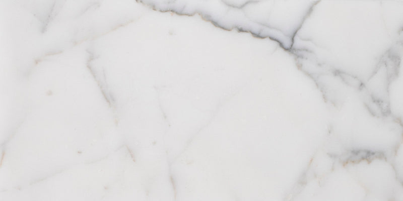 Statuario Extra Honed 15 x 30 x 1 cm Field Tile