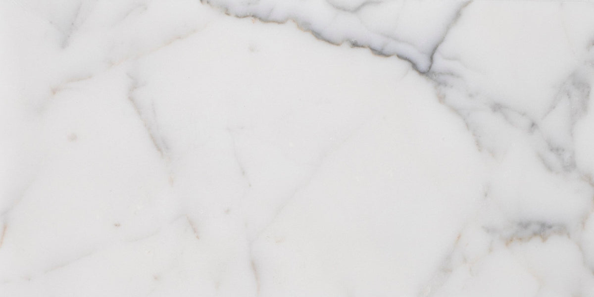 Statuario Extra Honed 15 x 30 x 1 cm Field Tile 