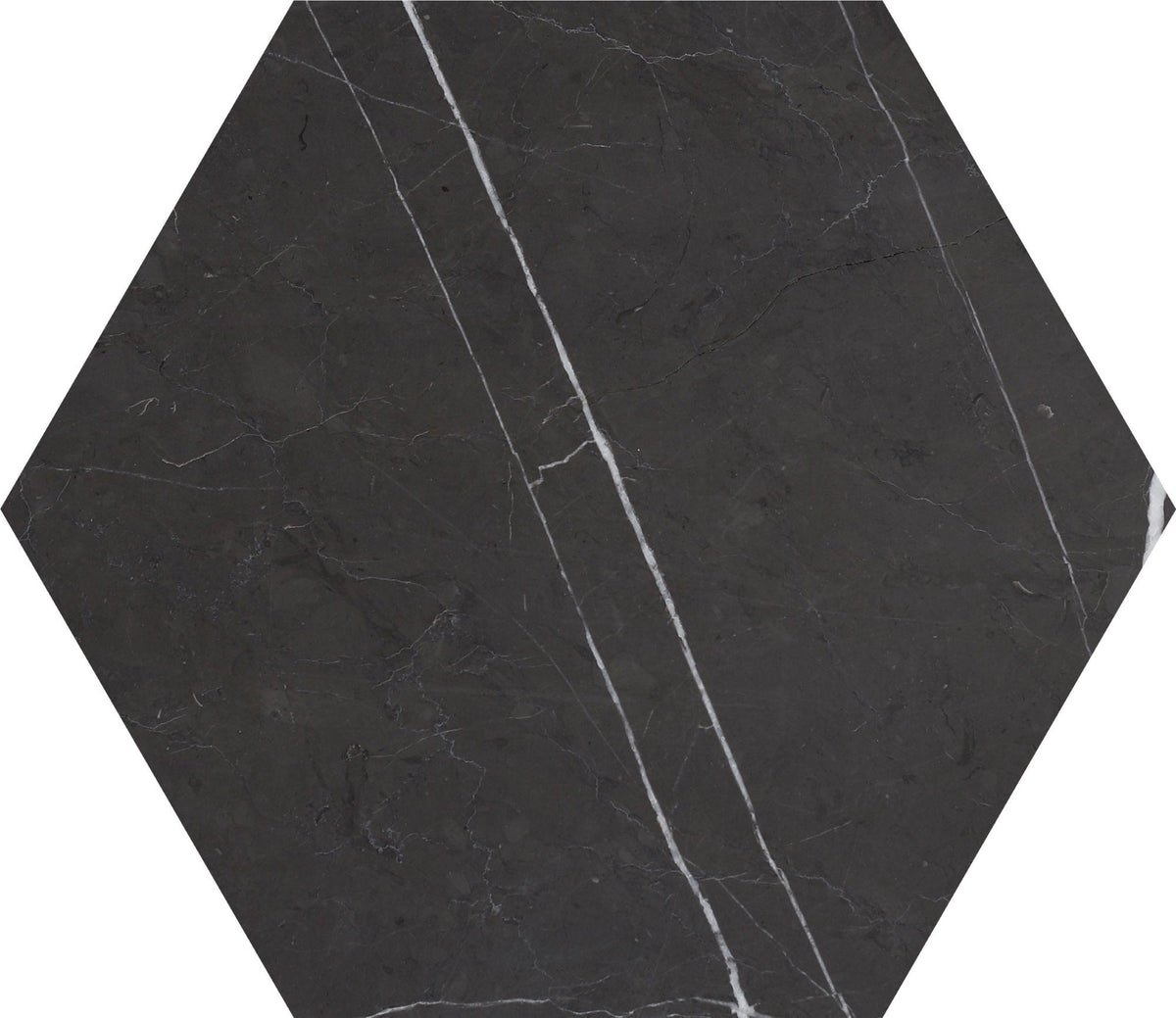 Mount Grey Plain Honed Hexagon 25 x 1 cm Field Tile 