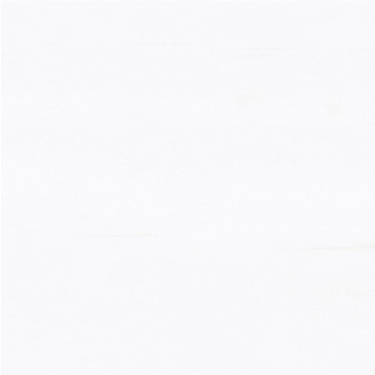 Glacier White Extra Polished 30 x 30 x 1 cm Field Tile 