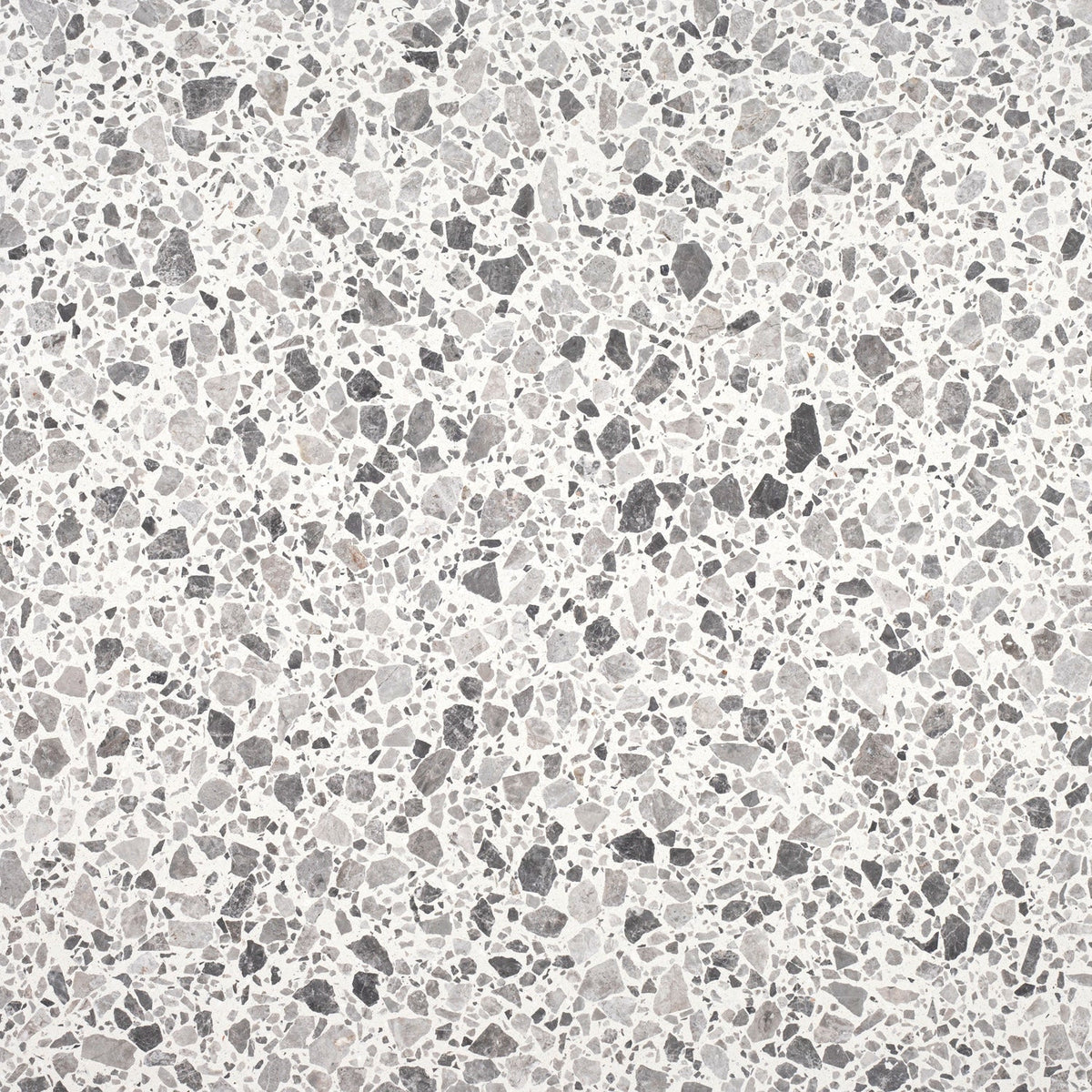 Tundra Grey Honed 60 x 60 x 1.25 cm Terrazzo Field Tile #24 