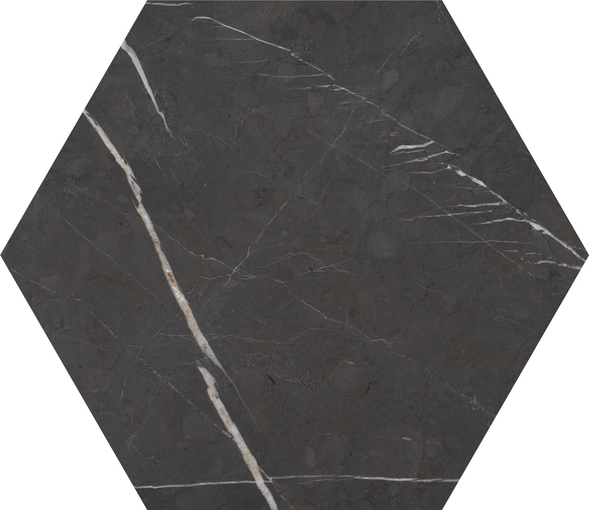 Mount Grey Plain Polished Hexagon 25 x 1 cm Field Tile 