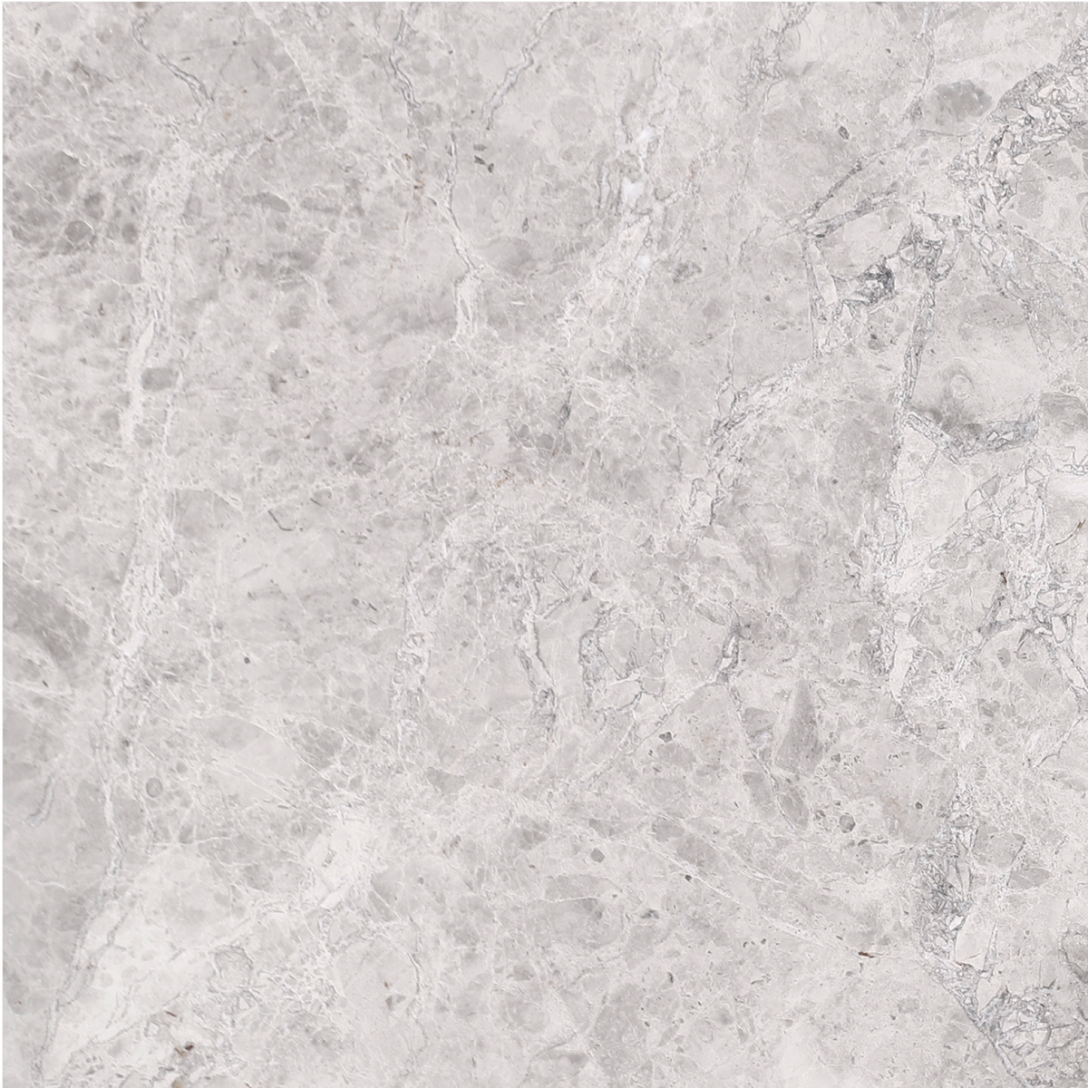 Tundra Grey Honed 40 x 40 x 1.5 cm Field Tile 