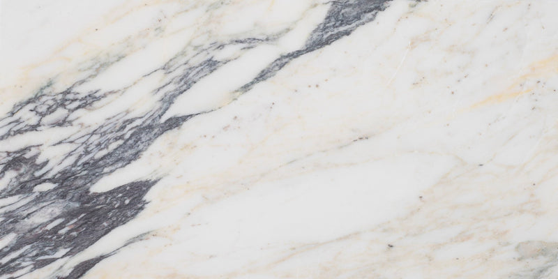 Calacatta Monet Honed 15 x 30 x 1 cm Field Tile
